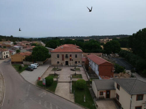IMG-20220616-WA0005